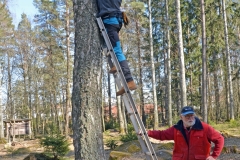 Uppsättning av holkar i Vallaskogen